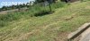 IMG_20231025_153340.jpg