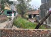 IMG_3576.jpeg