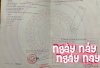 z6304748425134_b7f4ab084292a8ca85367f812b4cca73.jpg