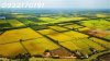 dat-nong-nghiep.jpg_bak_638747835481760149.jpg