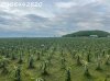 z6336851577286_a920179d06fce5ba525f7b76e0b266c7.jpg