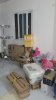 bcd3f504de21b54eabbab3ce7beabed9.md.jpg