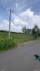z6383668284795_b46f745bbf3db9c7bb4ddd8acbb10b26.jpg