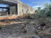 3604.jpg