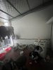 cho_thue_nha_ngo_minh_khai_11trieu (7).jpg