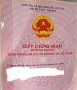 z6424840097059_d40be1abe0579c77633d8661ba98eb0f.jpg