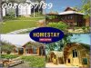 homestay1.jpg