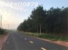 z6407829377211_2324a35a109df619a902b4baf0ac2503.jpg