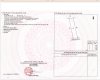 m_0.86669600_1738653683_z6193610308495_4a7a7cfa32c03eaa0c5395035f16b7a9.jpg