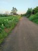 z6465842721210_b49f0b13ede792bff45f98a363e7acb4.jpg