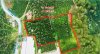 z6313069095981_1d8f3ee894ea68de4edcc4d4a2dcf12c.jpg