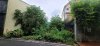 z6479301468164_8ba6fdfb806efce02974aba26bbcc662.jpg