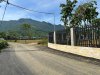 20241027062759-9cd5_wm.jpg