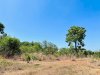 z6487137666105_f8d88b1a588c8aeed8c9368834b99b13.jpg