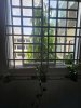 z6487308379868_8d174c3dc6c8c8d9b383b7ff1466ad39.jpg