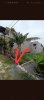 z6497718843698_0a074bfc460f7b6ce781a73a8f3bc307.jpg