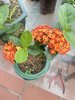 cho-thue-xuong-mien-nam-com-1.jpg