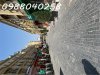 IMG_1531.jpg