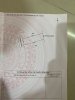z6513126353028_8b967b8665231053fcf74b6a0e0e108f.jpg