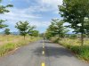 z6513521288618_97c9de4333ea90bcb6d8e9e25474d677.jpg