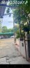2br7-8A842391-m9f4toeb_31_12.jpg