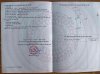 z6528745249143_72d8afd1122d626a9f2fb1ba885cb13f.jpg