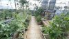 49c8cb5e52960e5084b9730a0ef136a6.md.jpg