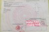 z6486091087455_d3c8abd1106a9ad4517676617dba86fa.jpg