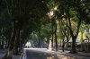 pho-phan-dinh-phung-1.jpg