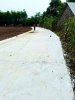 1a8692afe5ce57900edf.jpg