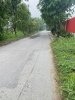 an phu tay 1.jpg