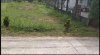 z6564573785798_aaf75b990375bb87d5e13904b7c9dbc4.jpg