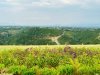 z6570333926281_710f27ff6050169b27fd36a73e58b601.jpg