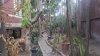 ban-biet-thu-thanh-pho-di-an-tinh-binh-duong.jpg