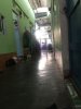 AHD1711111.jpg