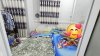 f23761f52731feb09ffe7eff6efcecb5.md.jpg