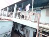 ban-nha-tro-tang-nhon-phu-a-q9-264-m2-29-phong-nhinh-17-ty (6).jpg