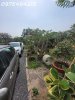 z6600106903322_d81d2766a7193a7d5a8cbc7bb64eaa0f.jpg