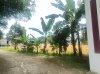 68258d48aafe1da044ef.jpg