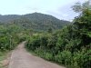 ddc556e857dbe185b8ca.jpg
