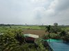 ANH NHA VUON NGOC HOI 25.7.25.5.jpg
