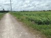 19cc7a6f6302ea5cb313.jpg
