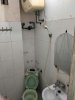 bd7c51596e36dd688427.jpg