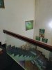 IMG_2667.jpeg