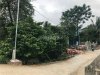 z6866120162794_c1fea3f73a10bf84a73a10f97b9bf751.jpg