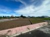 effc13adc4334d6d1422.jpg