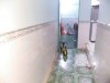 37f31720-6bea-4cd1-a58f-8ec064b16c89.jpg