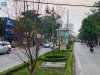 z6902794022453_9dac8ba4f58f6e8405799f3c6feff0be.jpg