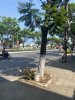 IMG_5910-scaled.jpeg