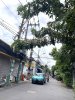 ban-nha-khu-ben-song-135-m2-5-tang-dong-tien-40-tr-hiep-binh-chanh (6).JPG